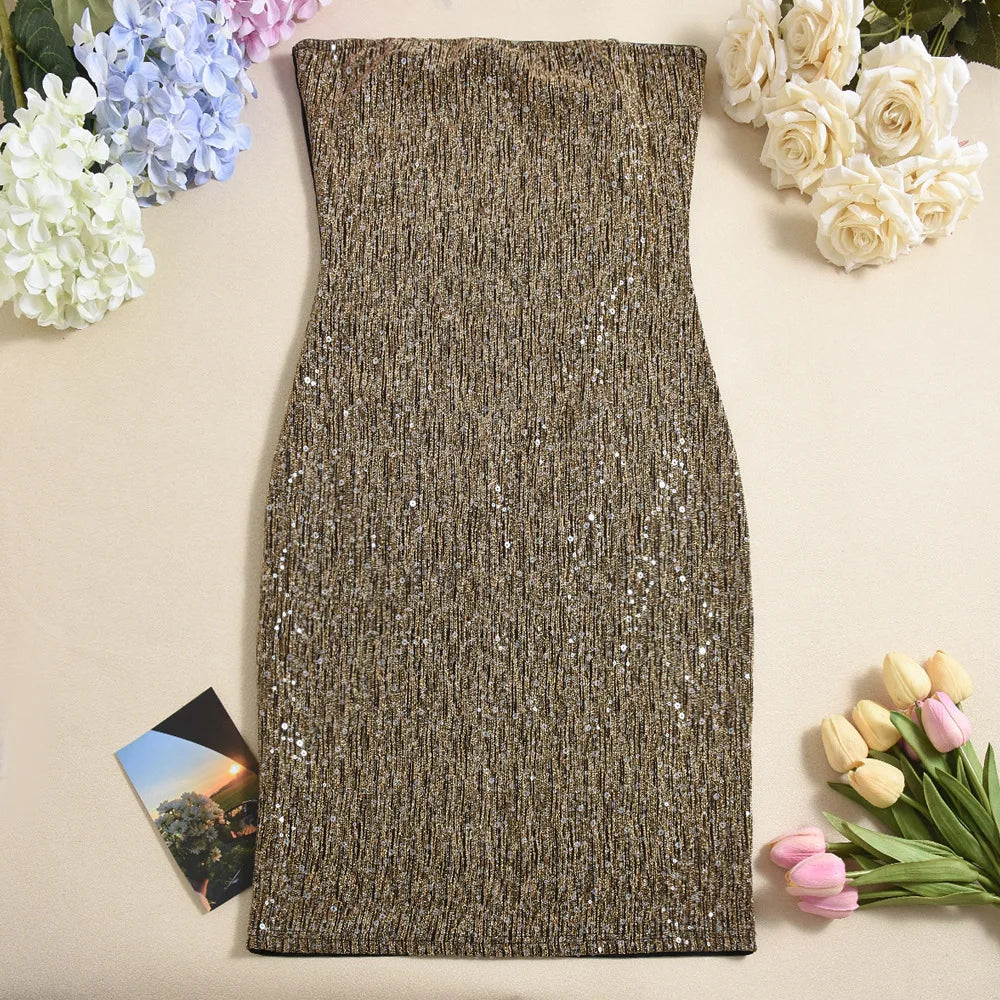 Elegant Sequined Mini Dresses Women Sleeveless Backless Slim Dress Party Nightclub