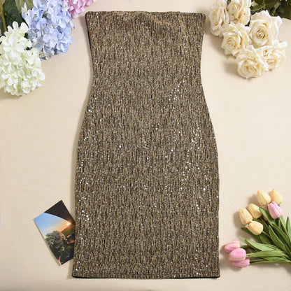 Elegant Sequined Mini Dresses Women Sleeveless Backless Slim Dress Party Nightclub
